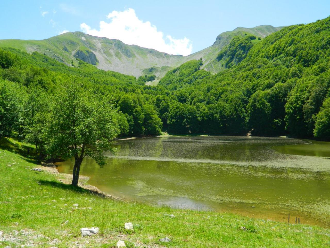 Moliterno L'Antico Ritrovo B&B 외부 사진